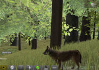 Virtual world screenshot: wolf in forest.